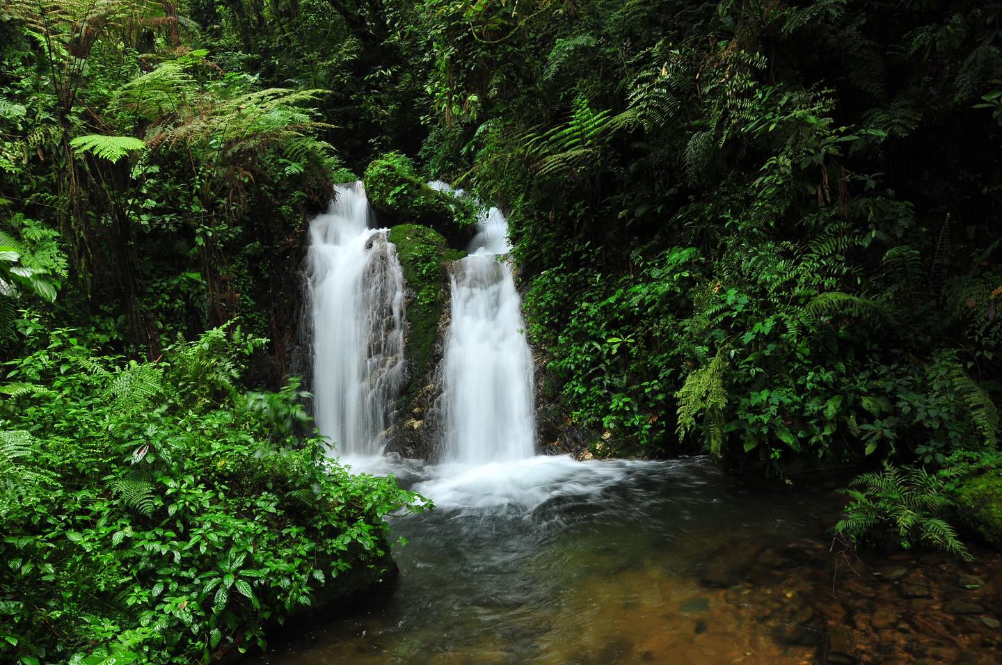 Waterfalls in Bwindi forest Waterfalls in Bwindi forest
