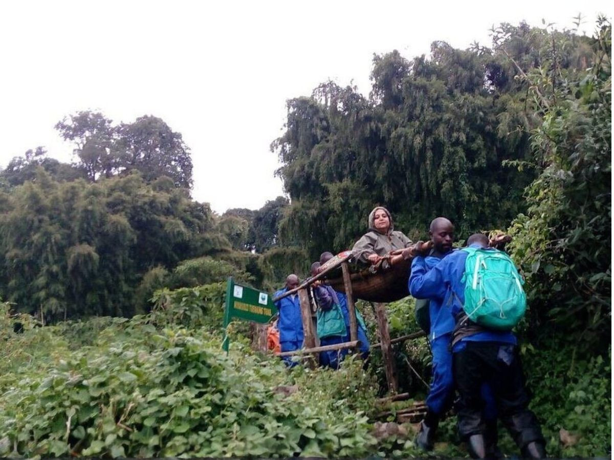Disabled Trekking gorillas in Uganda Gorilla Trekking experience in Bwindi Impenetrable forest for the disabled.