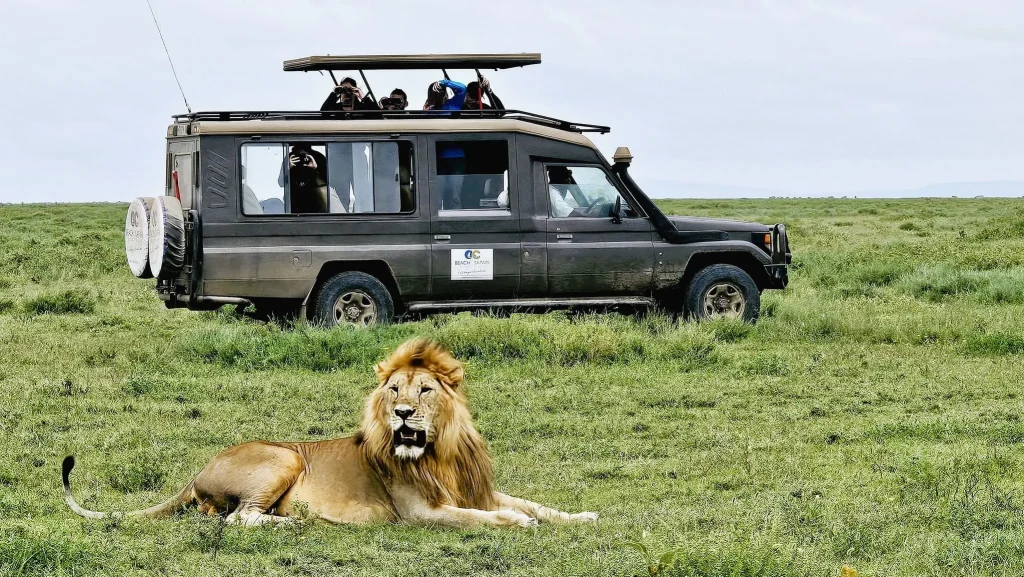 What Determines Safari Cost?